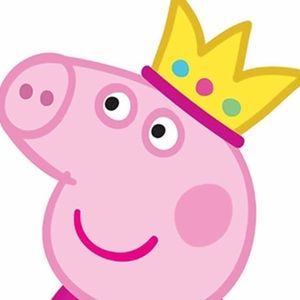 Meet your Posher, Jansy